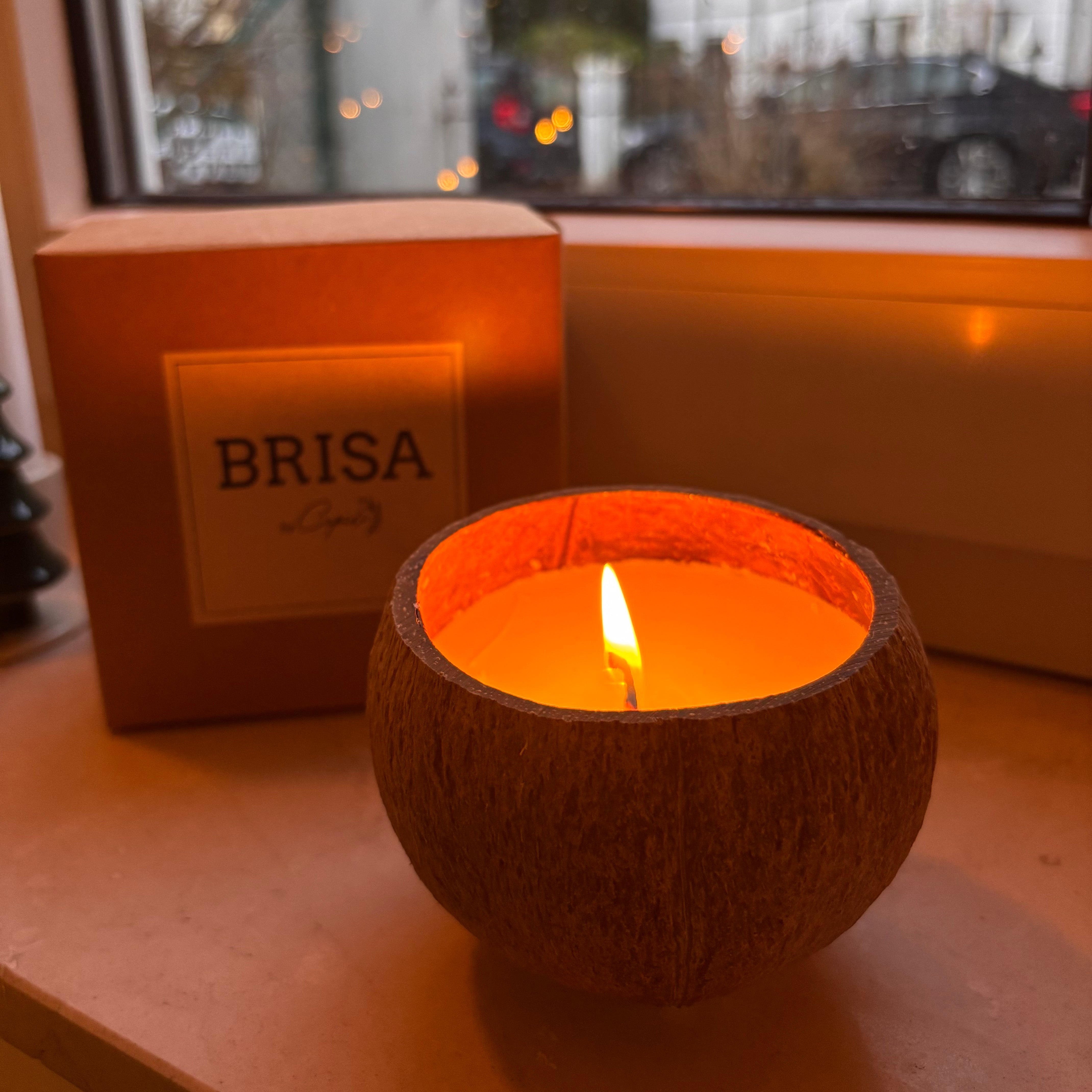 Brisa by Capido – Natürliche Kokoskerze – Handgemachtes Unikat aus Capim Dourado | Online kaufen bei Capido Shop