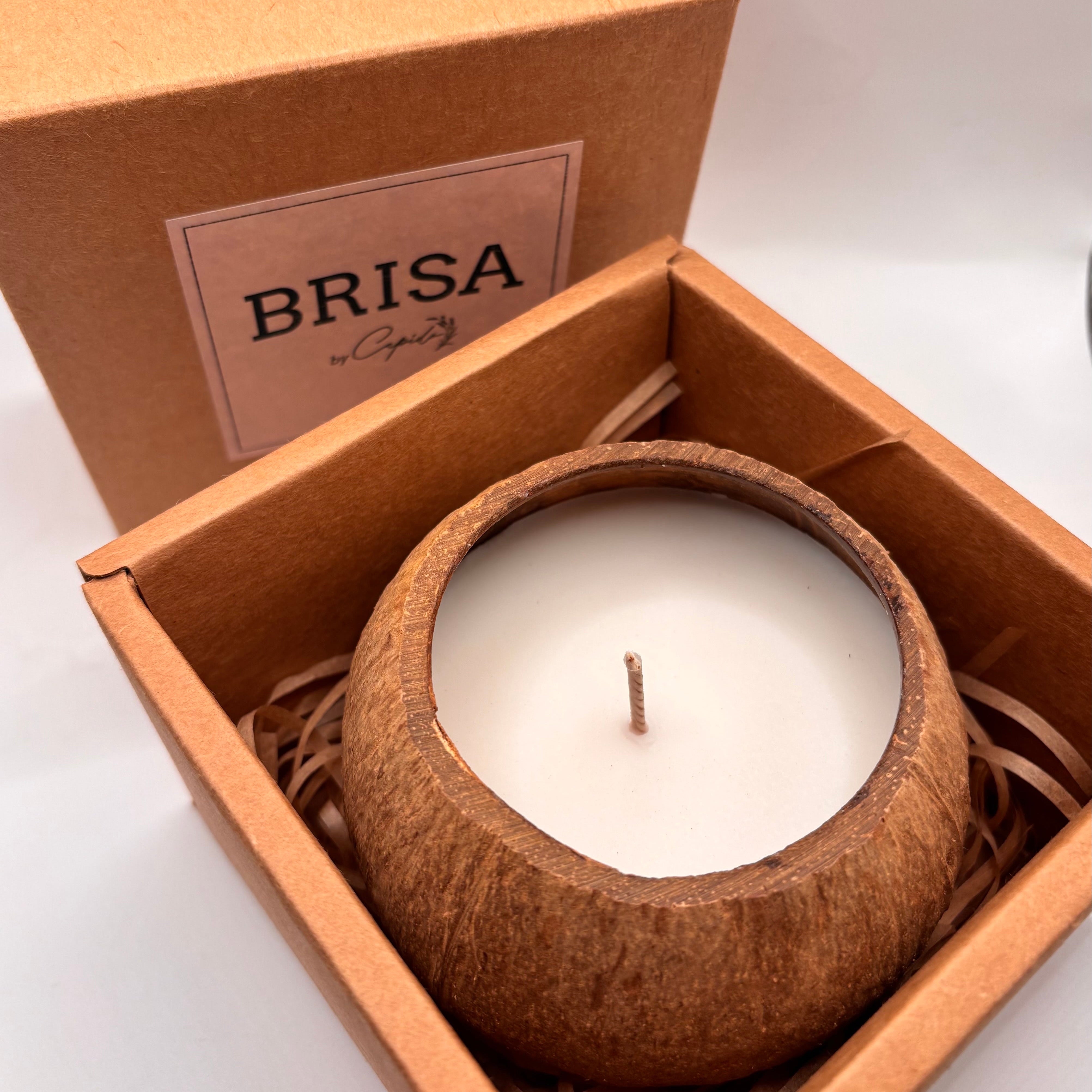 Brisa by Capido – Natürliche Kokoskerze – Handgemachtes Unikat aus Capim Dourado | Online kaufen bei Capido Shop